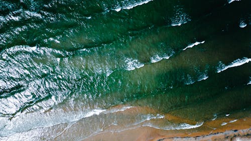 dalgalar, deniz, deniz kıyısı içeren Ücretsiz stok fotoğraf