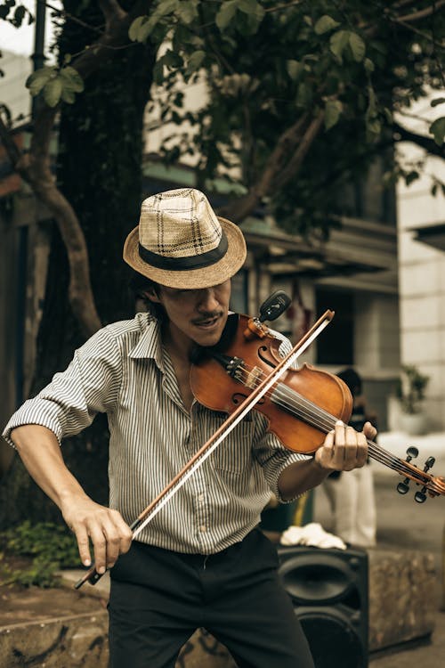Gratis stockfoto met hoed, kerel, muziekinstrument