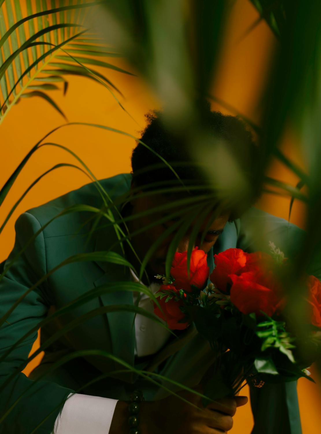 Man Smelling Red Roses behing Leaves of Plants · Free Stock Photo