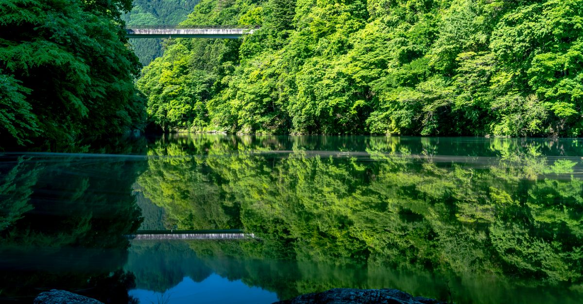 关于冬眠明けクマ的旅游安全指南 关于冬眠明けクマ的旅游安全指南