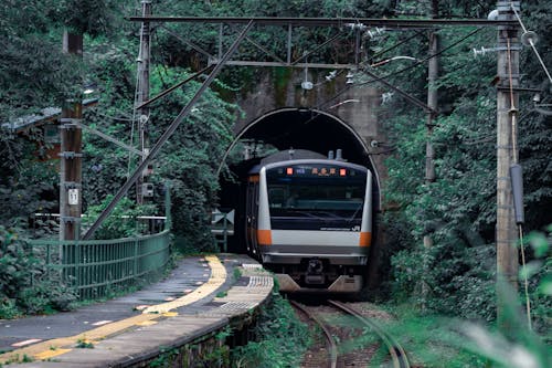 Foto d'estoc gratuïta de @outdoor, autopista, bosc