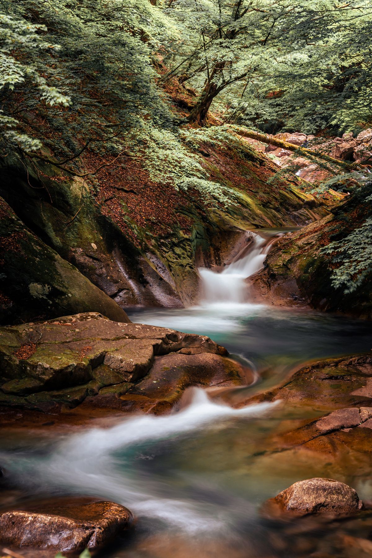 Mountain stream flowing through vibrant lush green forest in rural Japan creating peaceful nature scene