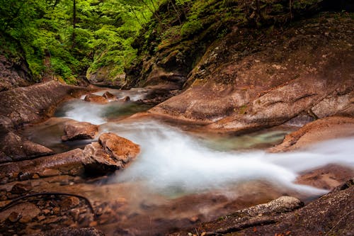 Foto d'estoc gratuïta de aigua blava, aigua dolça, alta qualitat