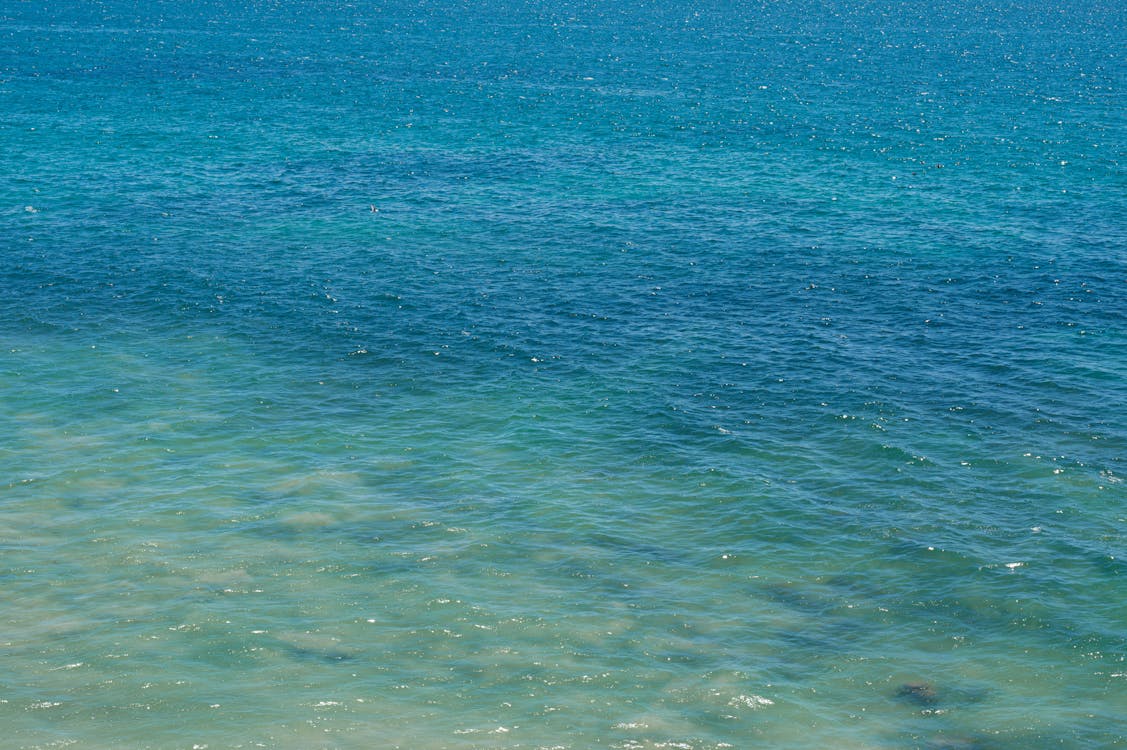 Photos gratuites de ambiance d'été, ambiance estivale, arrière-plan