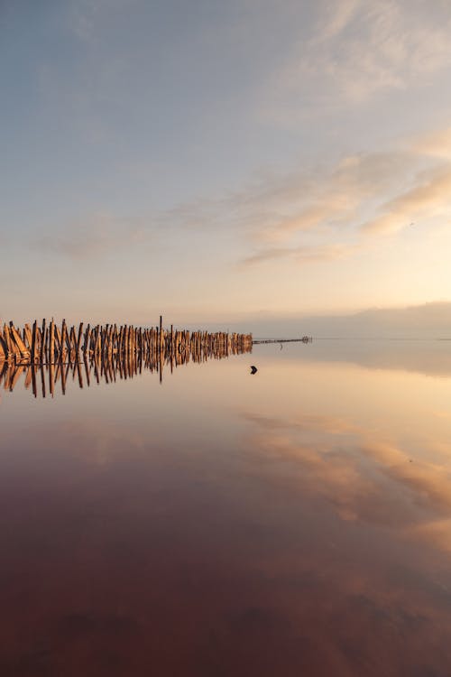 A wooden fence is reflected in the water