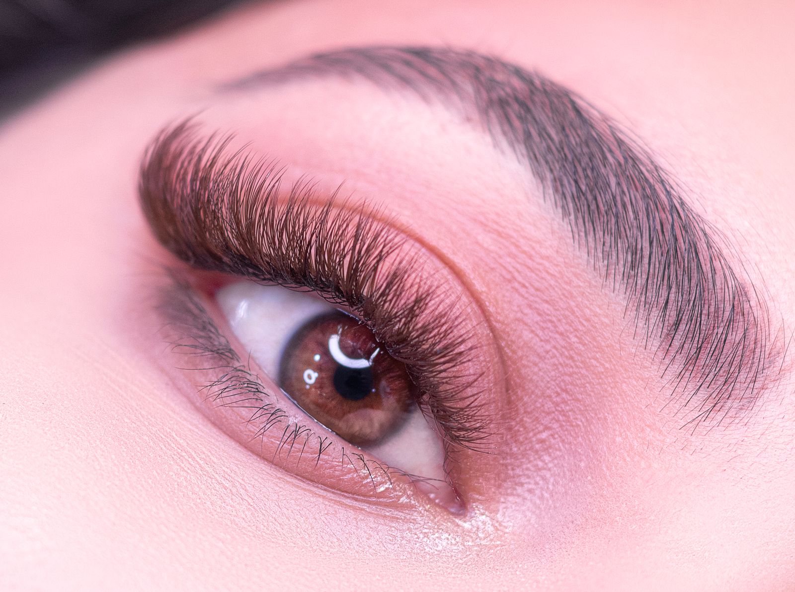 Close-up of a brown eye with prominent curled eyelashes and a defined eyebrow under pink-toned lighting.