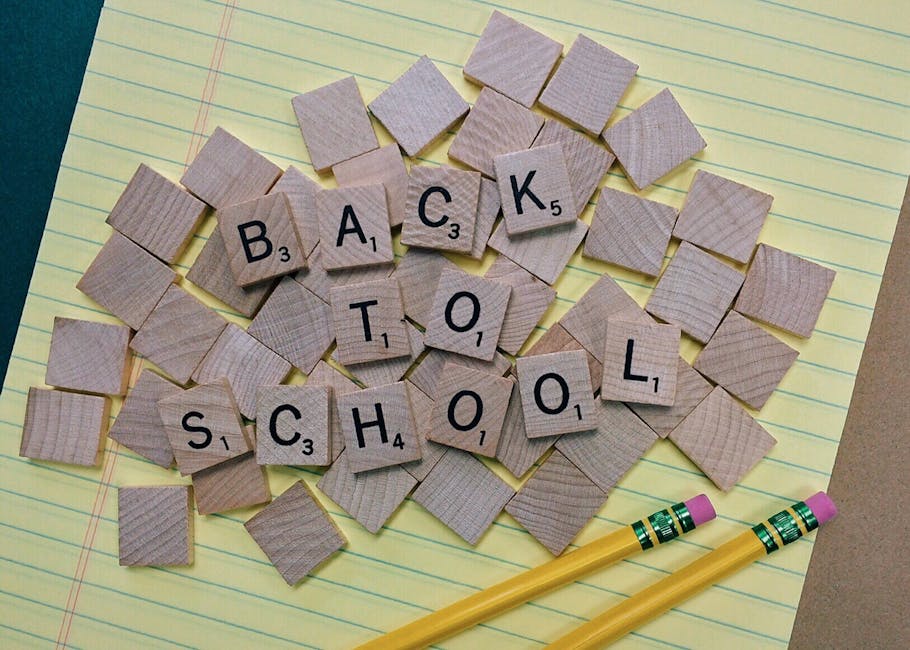 back to school, conceptual, creativity