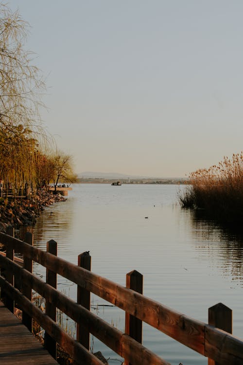 A wooden walkway leading to a lake with reeds