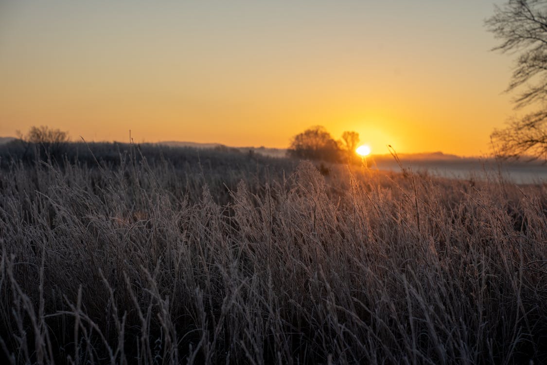 Kostenloses Stock Foto zu außerorts, dämmerung, feld