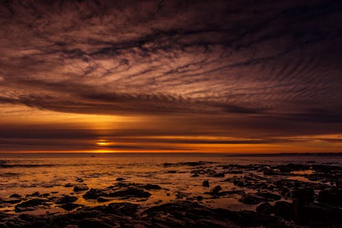 Бесплатное стоковое фото с багровое небо, берег, вечер