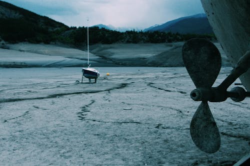 Bow Rider on Landscape Field