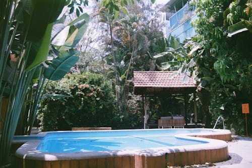 A pool in a tropical garden surrounded by trees