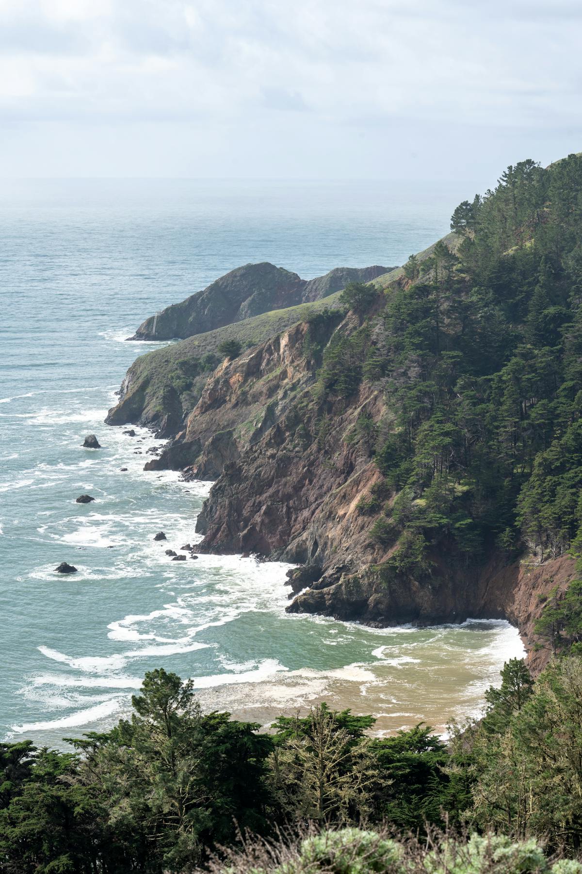 Pacific Palisades neighborhood