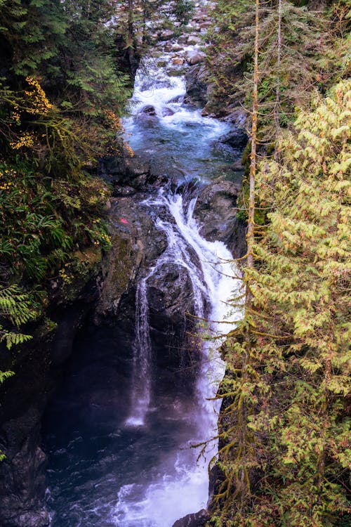 Foto stok gratis air mengalir, air terjun, alam