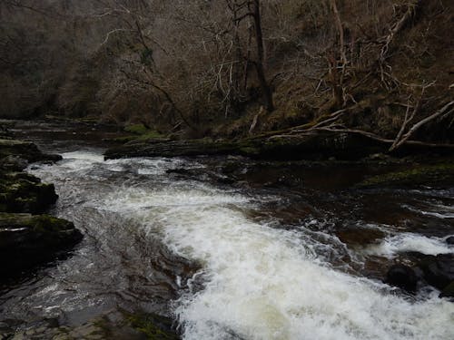 Foto profissional grátis de brecon beacons, cachoeira