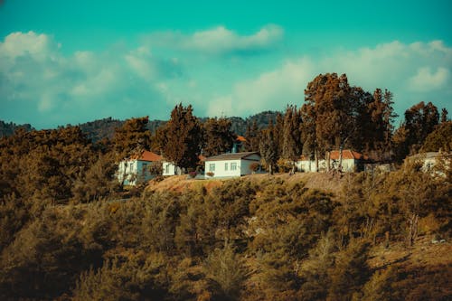 Бесплатное стоковое фото с деревья, домики, здания