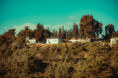 A house on a hill with trees and bushes