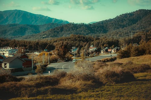 açık, açık hava, ağaç içeren Ücretsiz stok fotoğraf