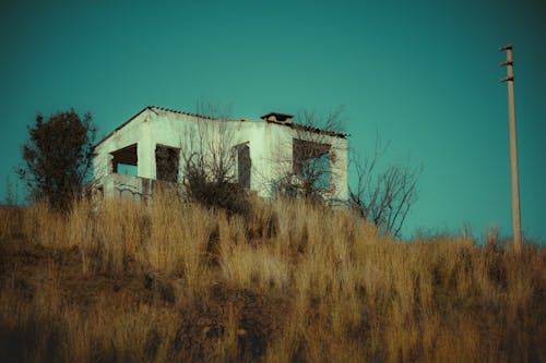 Základová fotografie zdarma na téma keře, kopec, opuštěná budova