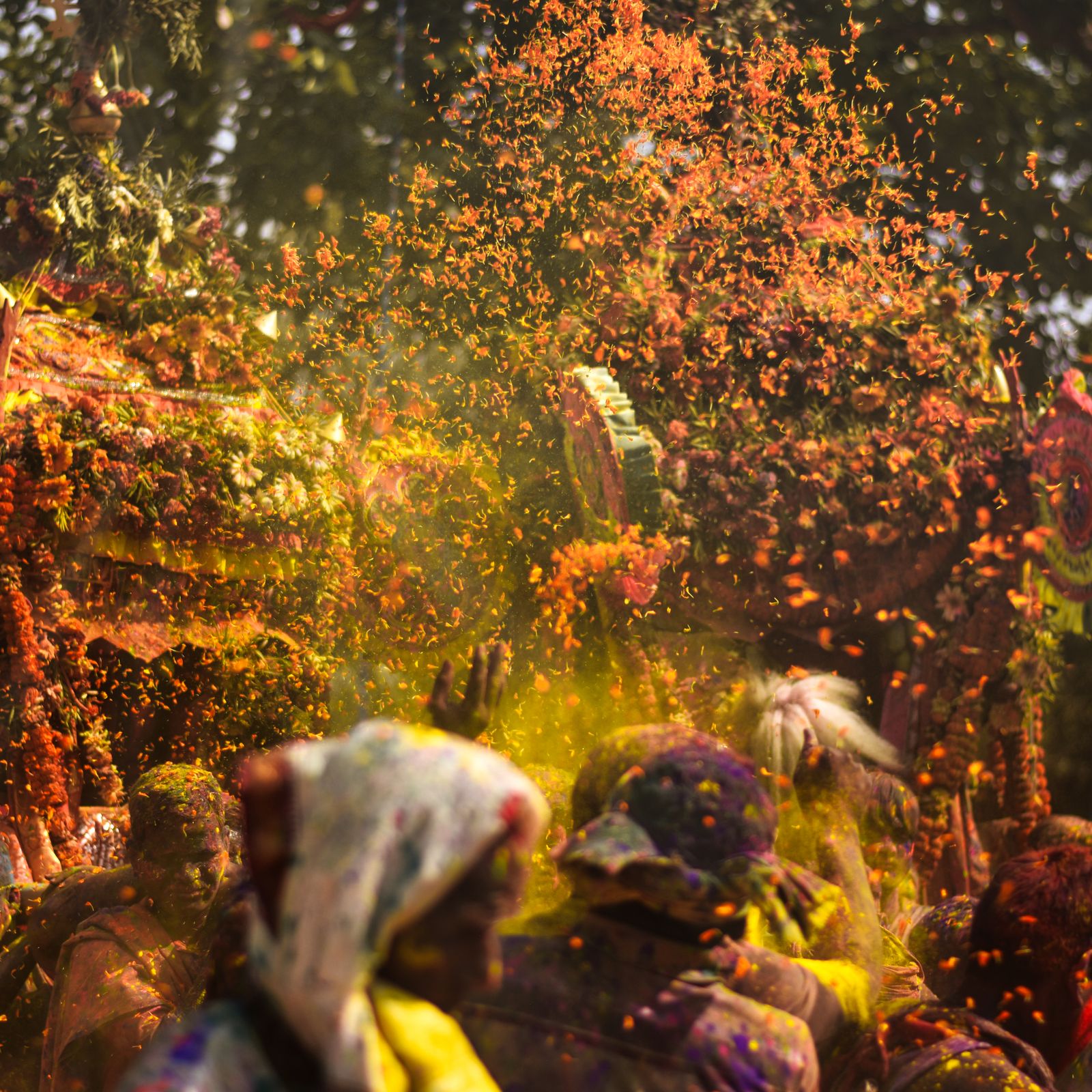 Holi