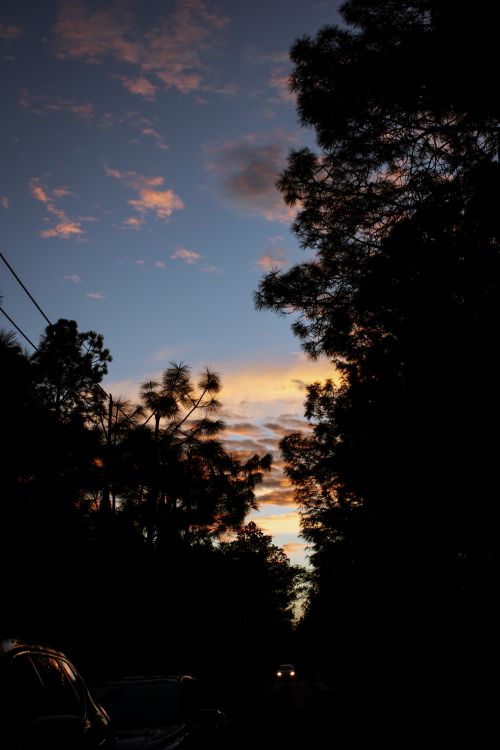 Free Dramatic silhouette of trees during twilight with a colorful sky in the background, creating a serene outdoor scene. Stock Photo