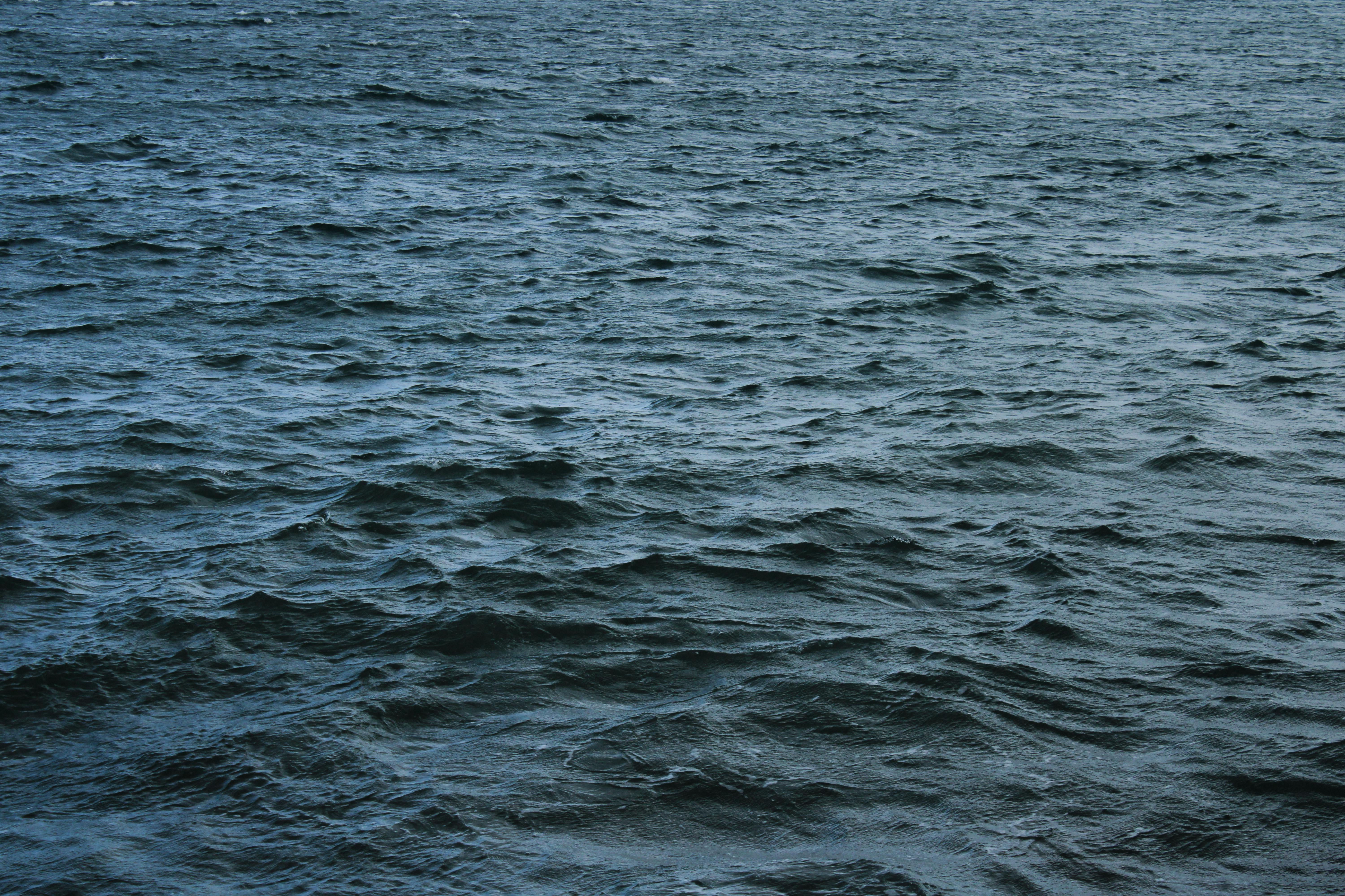 A More Troubling Picture of Sea Level Rise Is Coming into View — Photo by Ana Morales on Pexels
