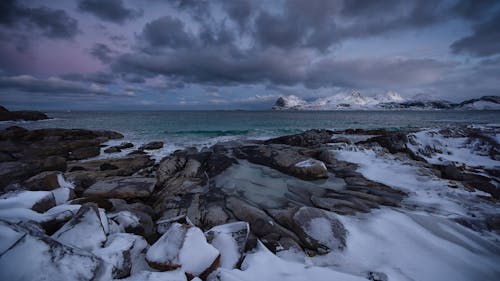Fotobanka s bezplatnými fotkami na tému arktická pláž, chladný, ľad