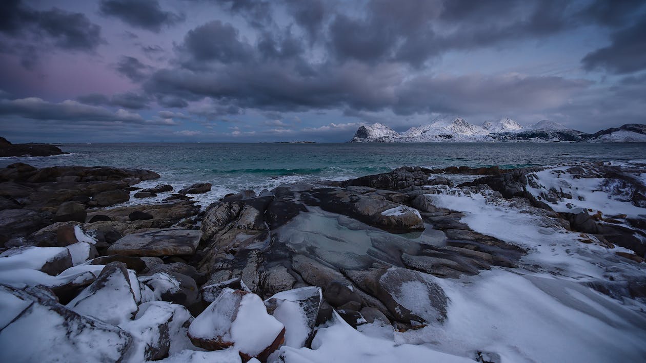 Fotobanka s bezplatnými fotkami na tému arktická pláž, chladný, ľad