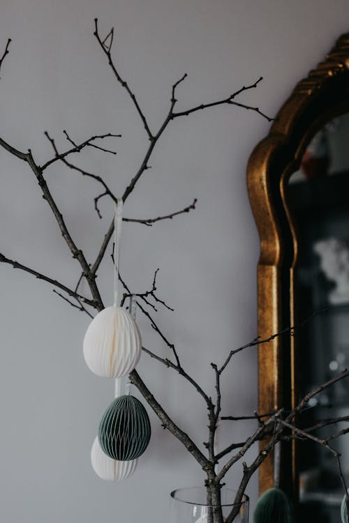 Darmowe zdjęcie z galerii z dekoracja, drzewo, gałęzie
