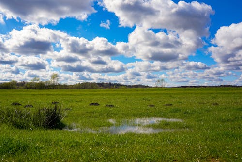 Gratis stockfoto met grasland, landelijk, landschap