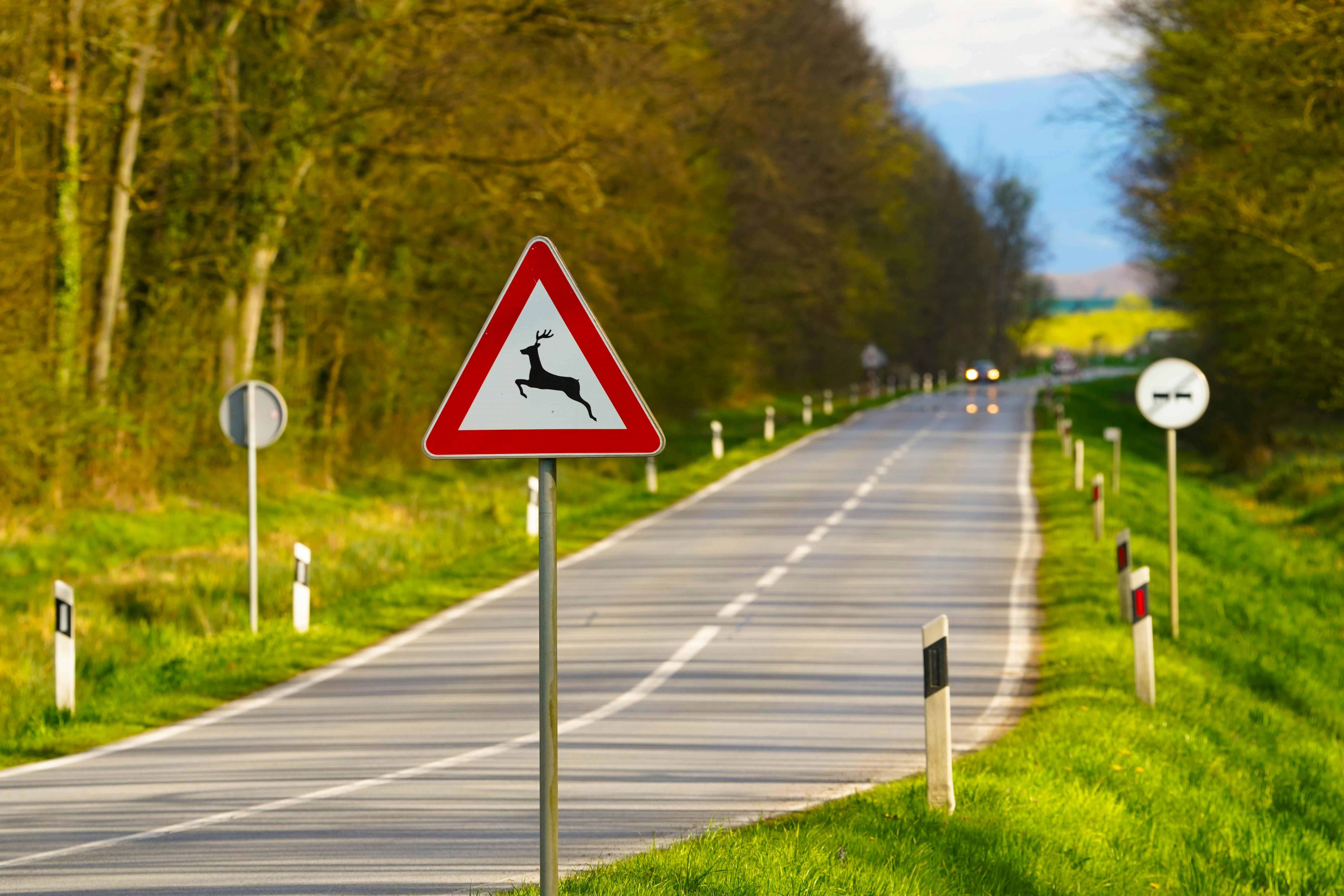 Be Aware of and Respect Rural Traffic and Wildlife