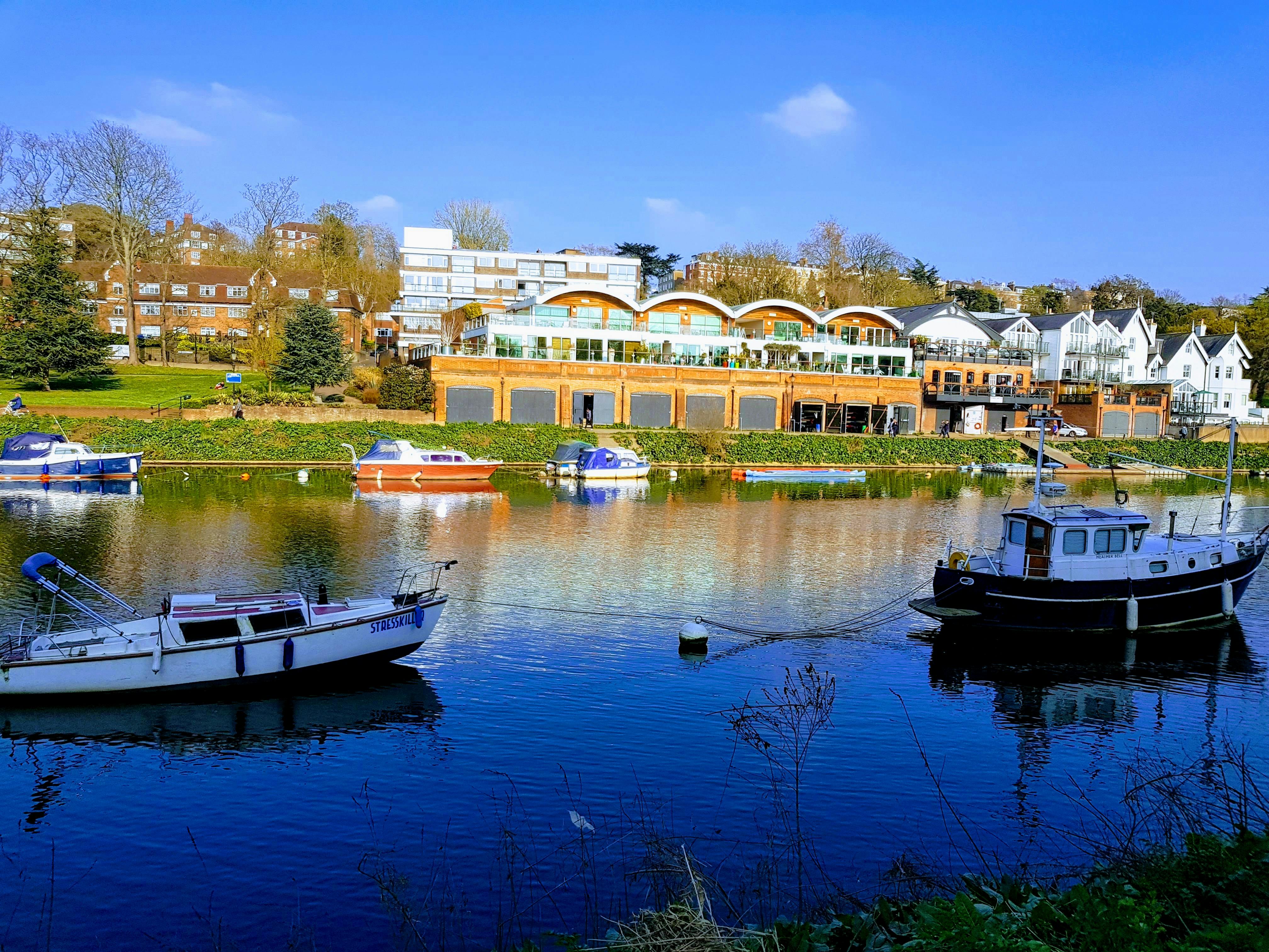 Free stock photo of england, london, nature