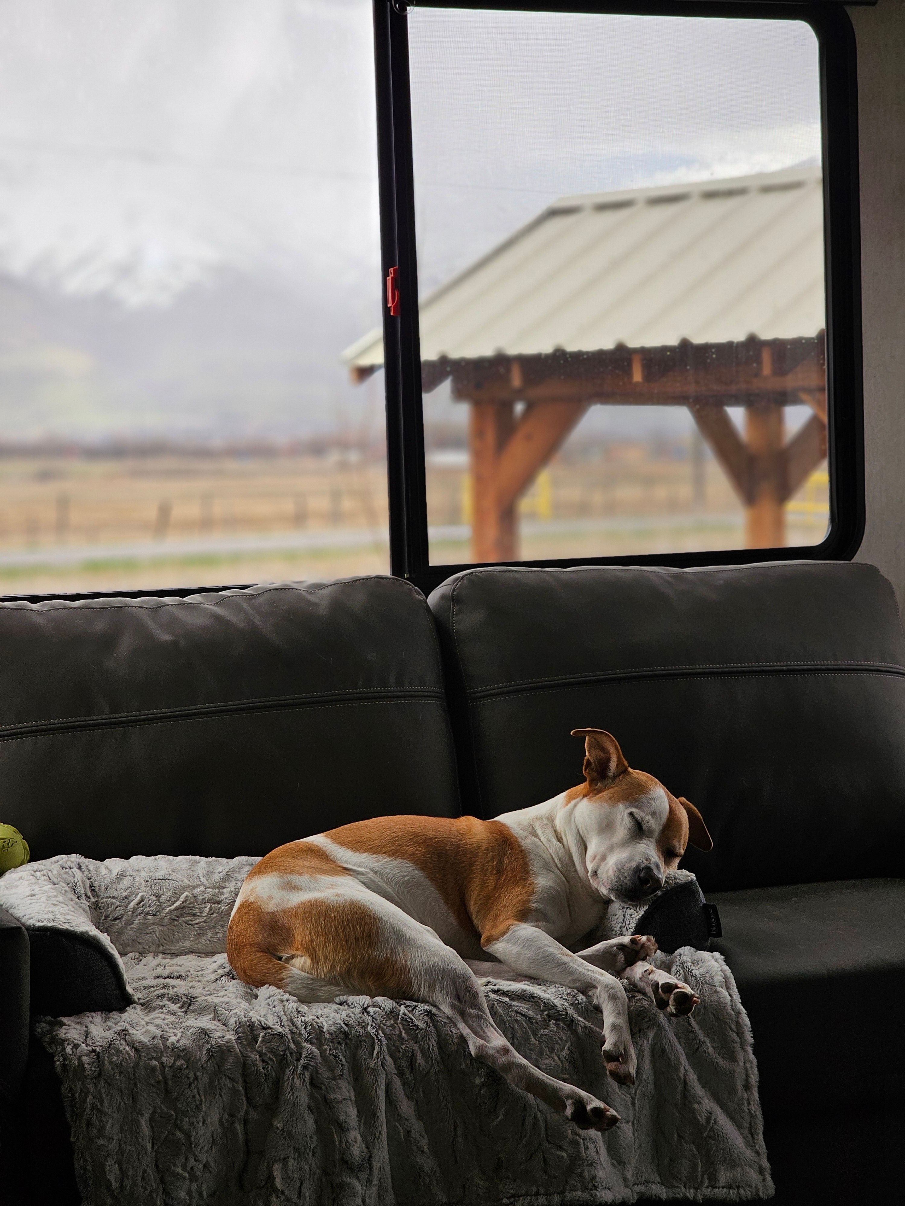 Sleeping With Window Open Photos, Download The BEST Free Sleeping With