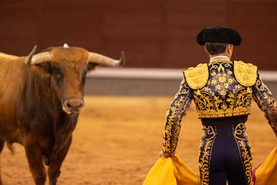 Enrique Ponce ajuda David de Miranda després de cogida greu a Zaragoza