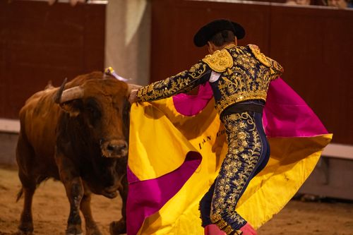 Free Dynamic scene of a bullfight in Madrid, Spain showcasing a skilled matador. Stock Photo