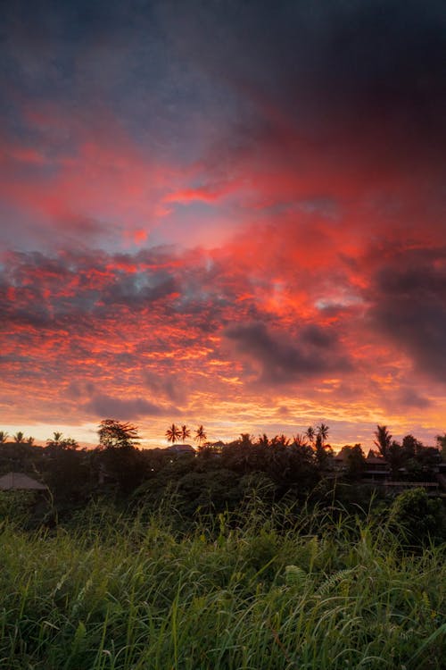 Campo De Hierba Bajo El Cielo Nublado Durante La Hora Dorada