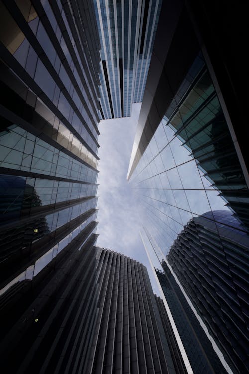 Free A view of tall buildings from the ground Stock Photo