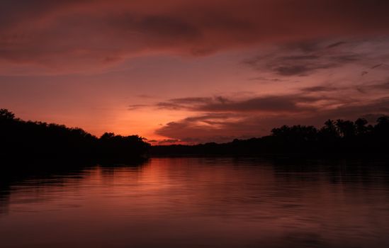 Cómo la senescencia celular afecta la longevidad