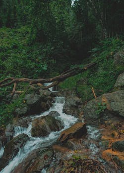 Image by Assanai Narapon