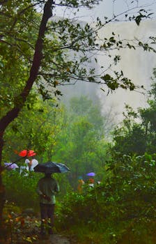 A serene walk in a lush forest on a rainy summer day, with colorful umbrellas.