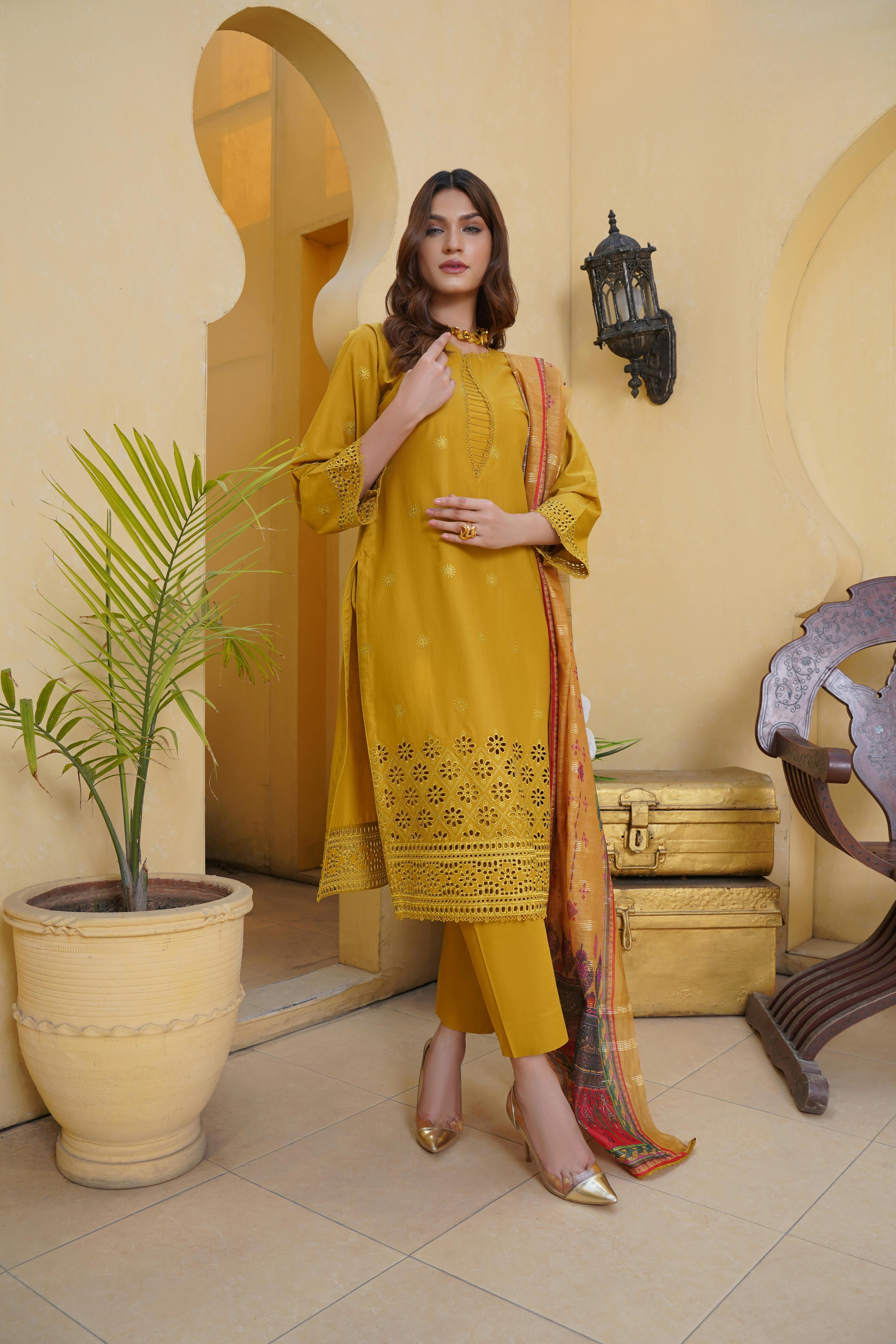 Pakistani Garment Photos, Download The BEST Free Pakistani Garment