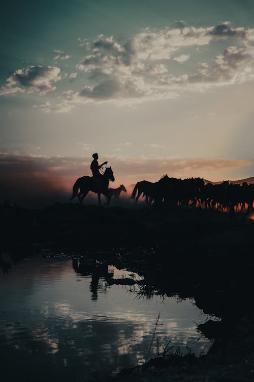 A man on horseback is riding through the water