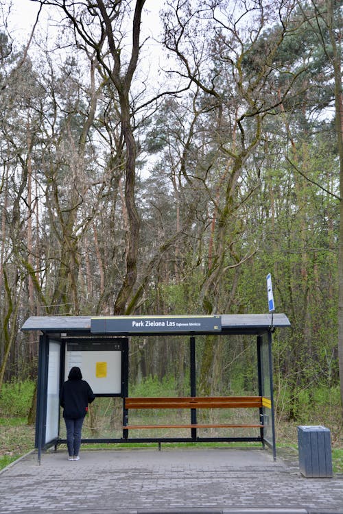 A person is standing at a bus stop in the woods