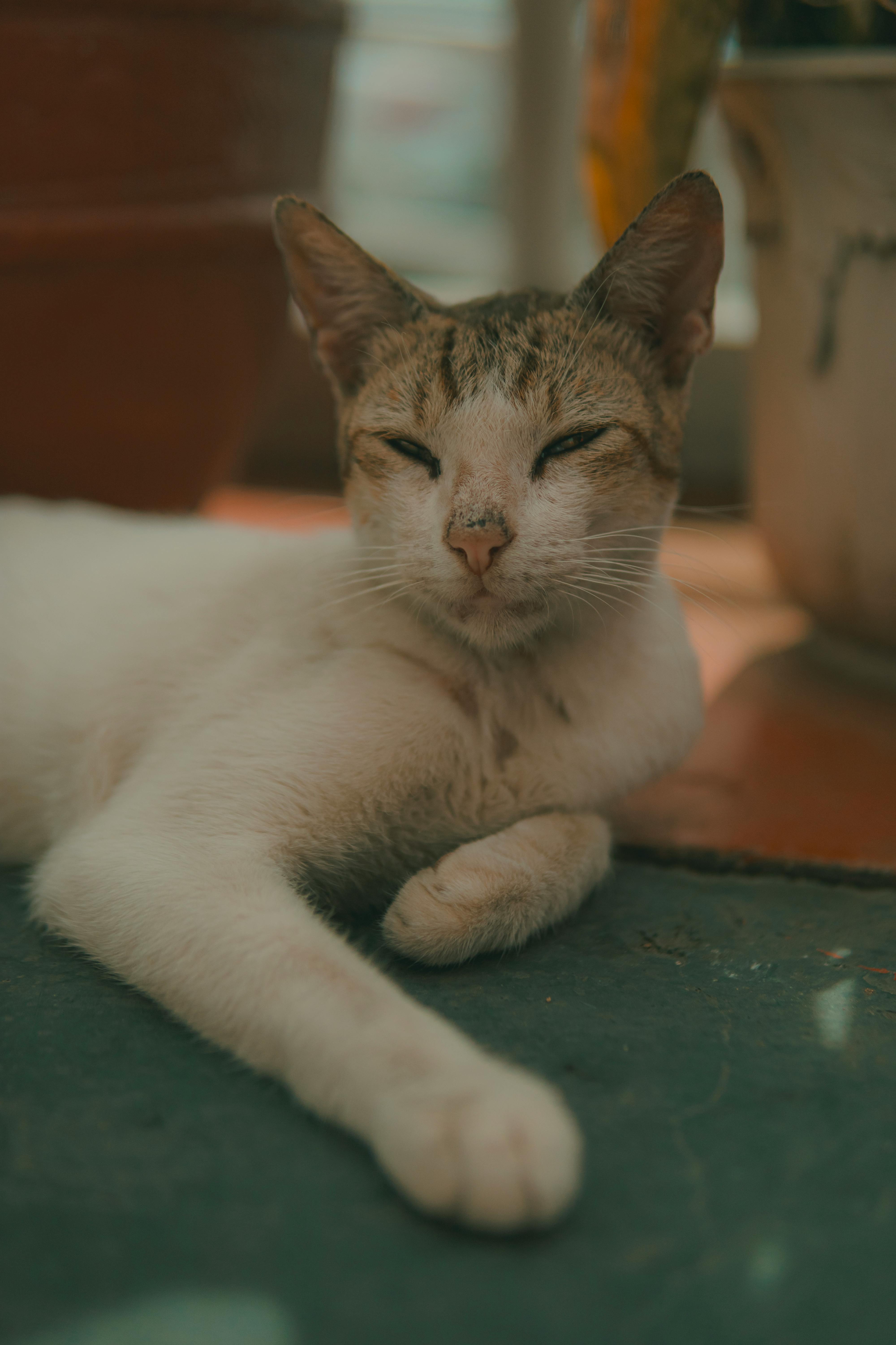 CS 711 The Design Pattern–Java Companion By James W Cooper