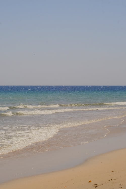 Foto d'estoc gratuïta de Costa, mar, natura