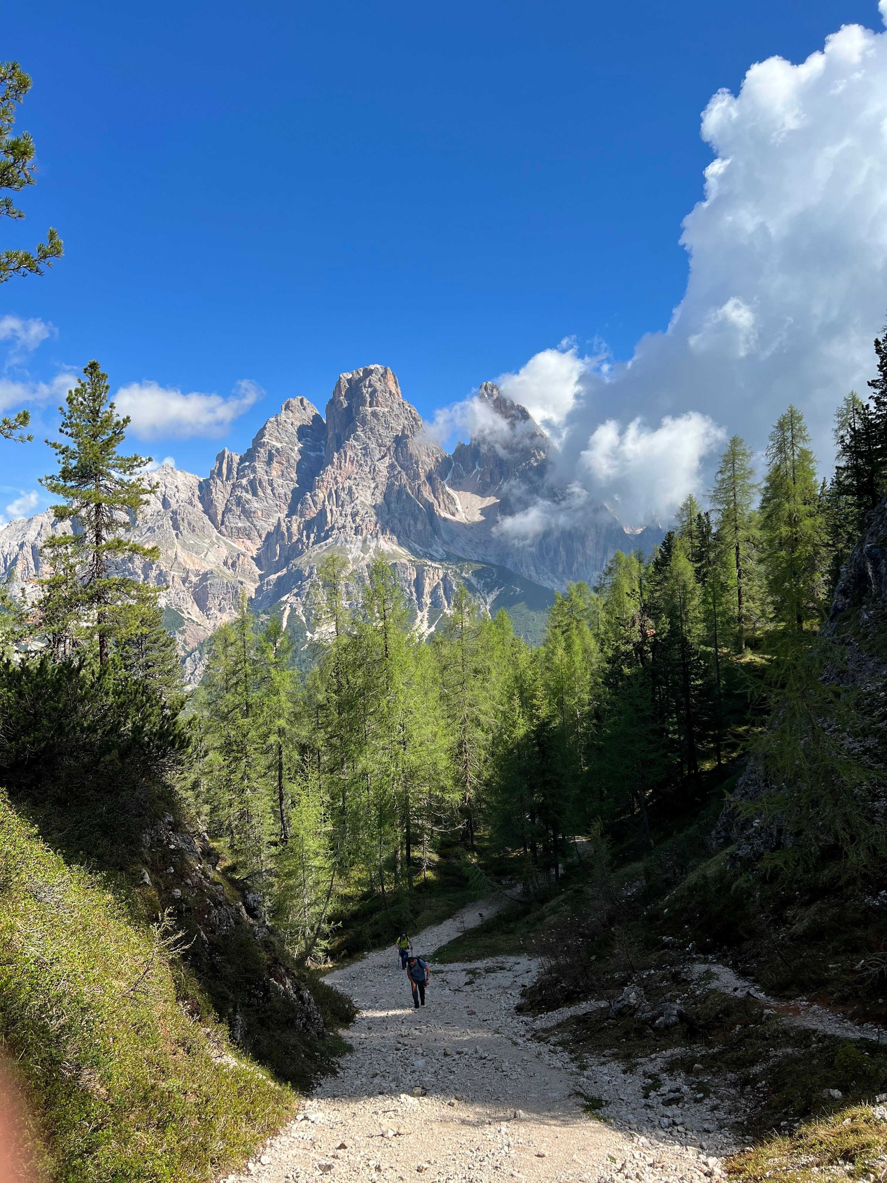 People Hiking on Footpath in Forest in Dolomites in Italy · Free Stock ...