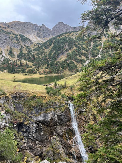 Immagine gratuita di alberi, alpi, cascata