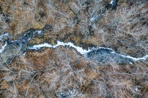 Aerial view of a river in the snow