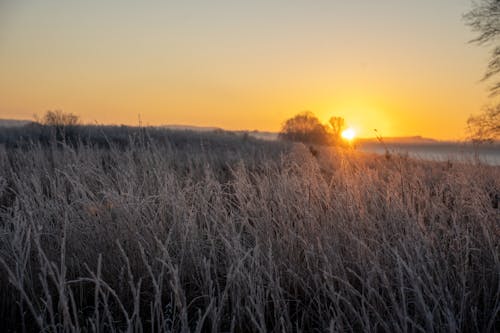 A sunrise over a field with frosty grass
