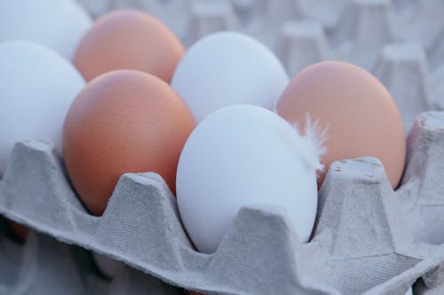 Kostnadsfri bild av ägg, äggskal, fjäderfän